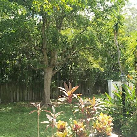 Apts With Backyard Near Fort Lauderdale Beach, Nightlife, Cruise Port, Airport エクステリア 写真