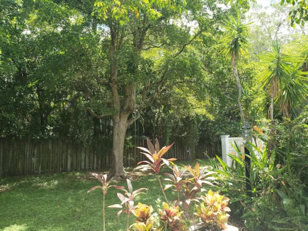 Apts With Backyard Near Fort Lauderdale Beach, Nightlife, Cruise Port, Airport エクステリア 写真